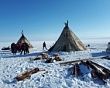 Our specialists made an examination of indigenous peoples of the Arctic tundra