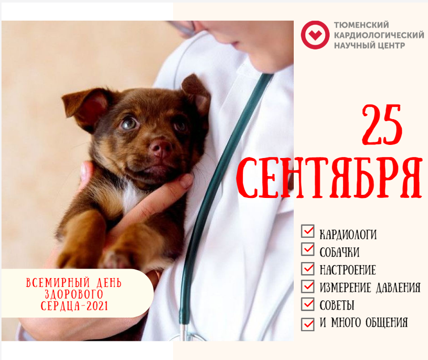 Лохматый друг избавит от болезней: врачи Тюменского кардиоцентра проведут необычную прогулку в честь Дня здорового сердца