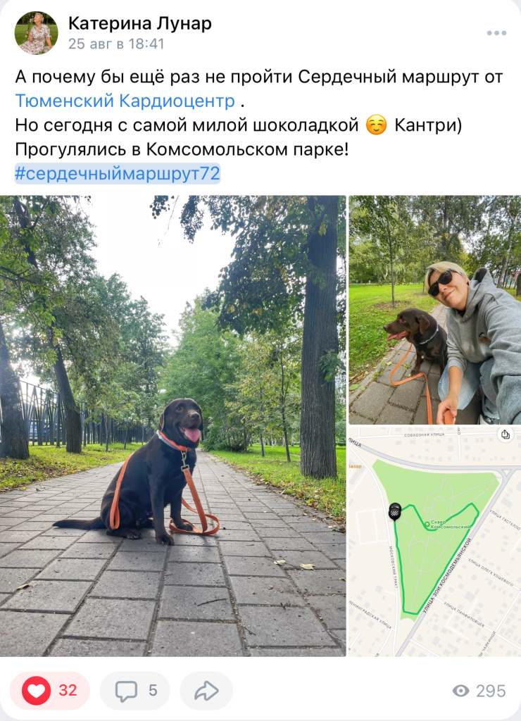 IMG_3601.PNG